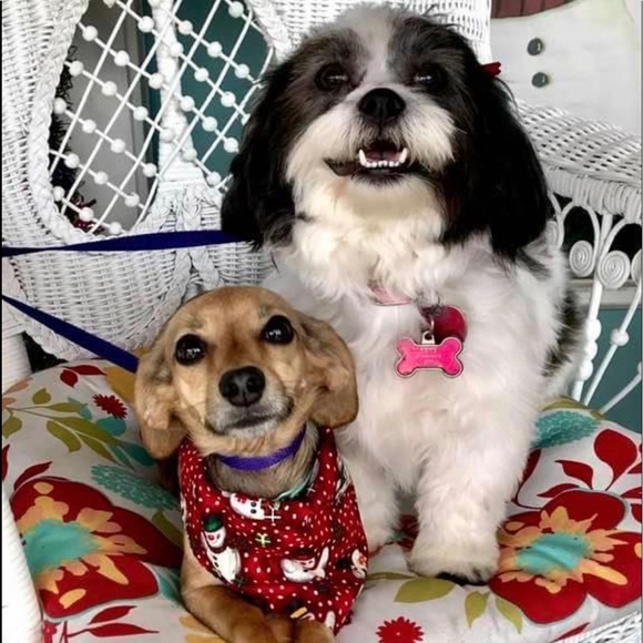 Meet your Posher, Becky - Picture 6 of 6